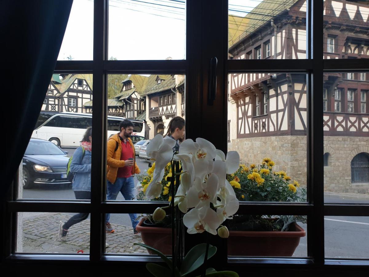 Hotel Boutique Vila Lakastel Sinaia Zewnętrze zdjęcie